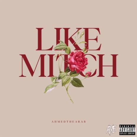 Like Mitch | Boomplay Music