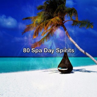 80 Spiritueux de la journée au spa