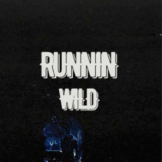 Runnin Wild (Radio Edit) lyrics | Boomplay Music
