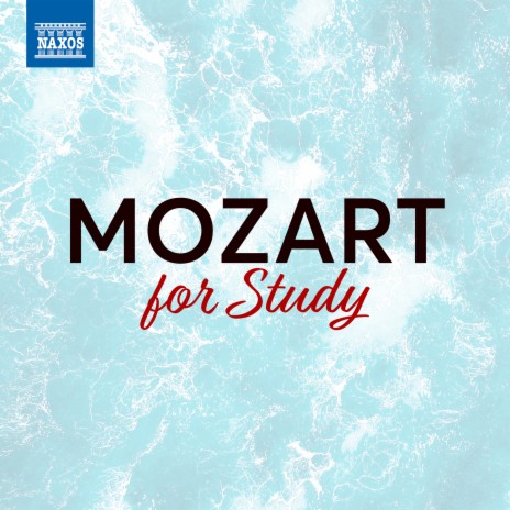 Horn Concerto No. 3 in E-Flat Major, K. 447: Ii. Romance: Larghetto ft. Amadeus Chamber Orchestra of Polish Radio & Agnieszka Duczmal | Boomplay Music