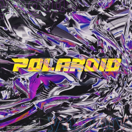 polaroid | Boomplay Music