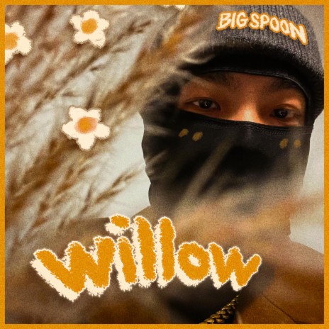 Willow | Boomplay Music