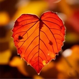 Autumn In My Heart