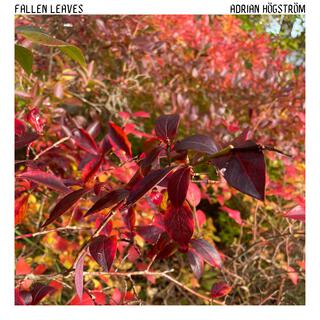 Fallen Leaves