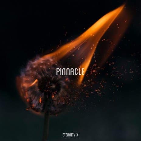 Pinnacle | Boomplay Music