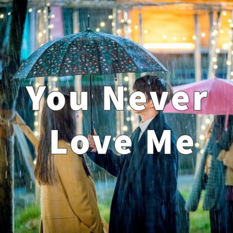 You Never Love Me