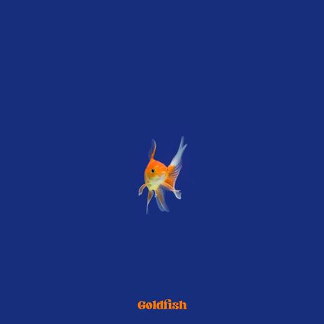 Goldfish | Boomplay Music