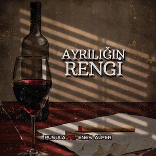 Ayrılığın Rengi