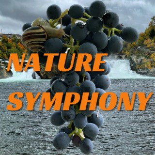 NATURE SYMPHONY