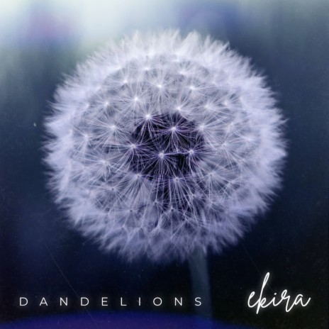 Dandelions | Boomplay Music