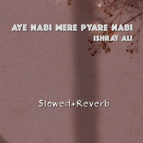 Aye Nabi Mere Pyare Nabi | Boomplay Music