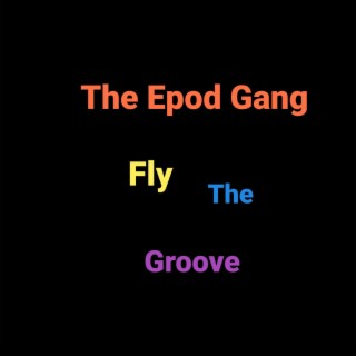 Fly The Groove