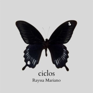 ciclos