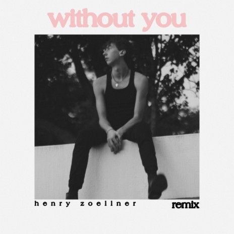Without You (Remix) | Boomplay Music
