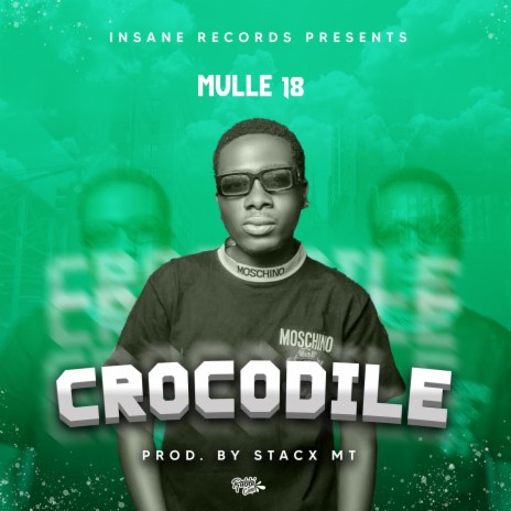 Crocodile | Boomplay Music