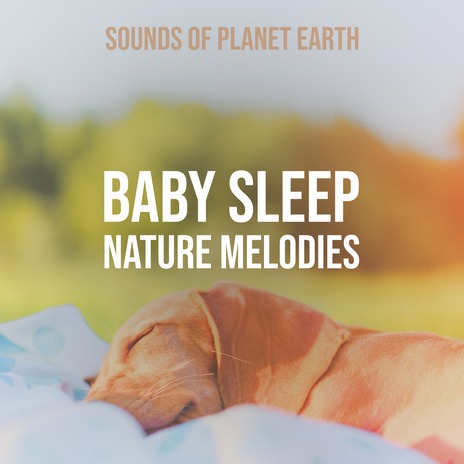 Deep Sleep Ocean Waters Melody | Boomplay Music