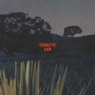 TERMITE