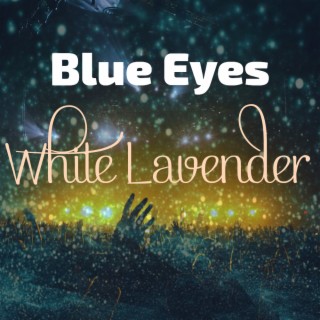 Blue Eyes White Lavender