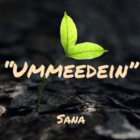 Ummeedein | Boomplay Music