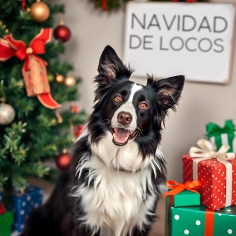 Navidad De Locos | Boomplay Music