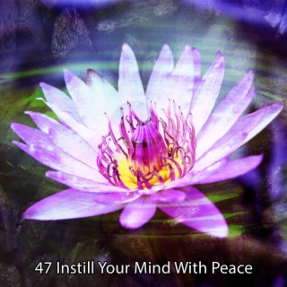 47 Insufflez la paix à votre esprit