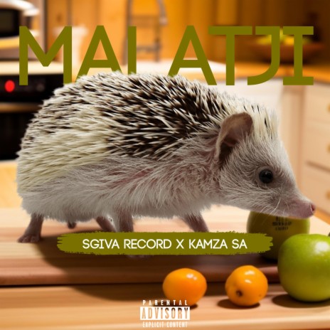 Malatji (feat. KaMza SA) | Boomplay Music