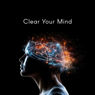 Clear Your Mind: Find Balance and Motivation, Remain Positive, Live Trouble-Free Life