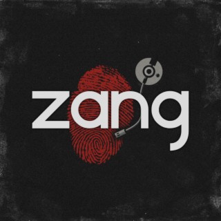 Nothin' on Me (Zang Remix) (Instrumental)