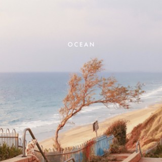 Ocean