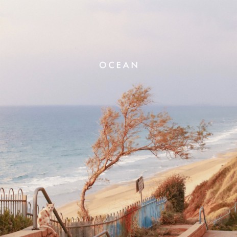 Ocean | Boomplay Music