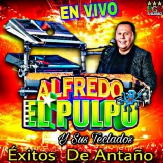 Alfredo El Pulpo y Sus Teclados