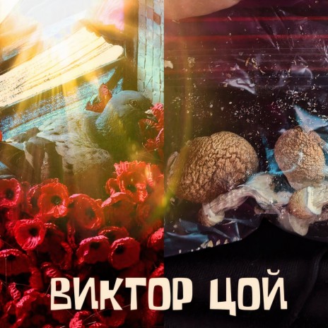 Виктор Цой | Boomplay Music