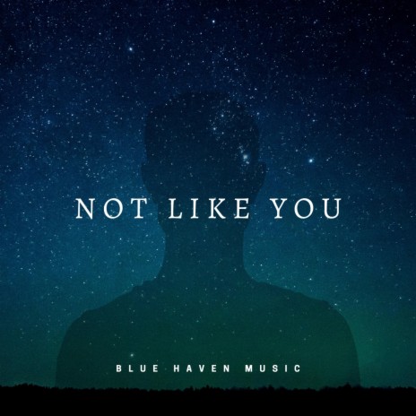 Not Like You ft. Ethan Alexander Morisette