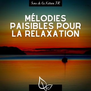 Download Sons de la Nature FR album songs: Mélodies paisibles pour la  relaxation