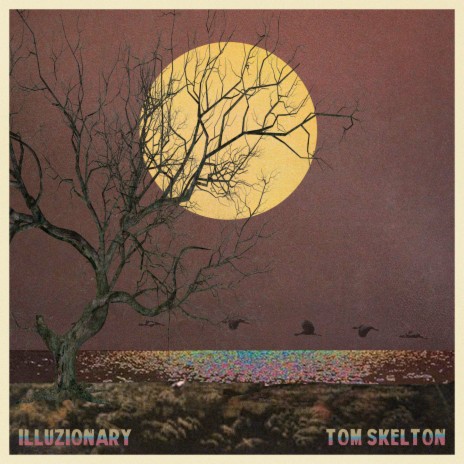 Tom Skelton | Boomplay Music