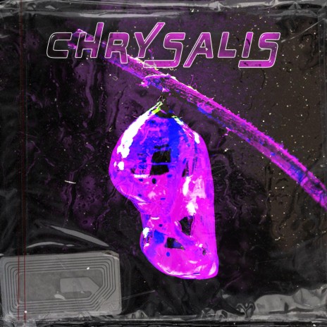 CHRYSALIS | Boomplay Music