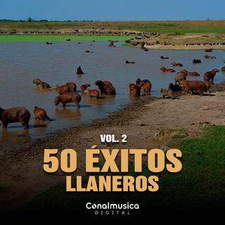 50 Éxitos Llaneros (Vol. 2)