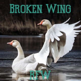 Broken Wing