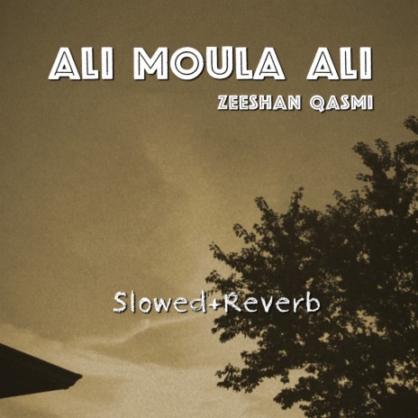 Ali Moula Ali | Boomplay Music