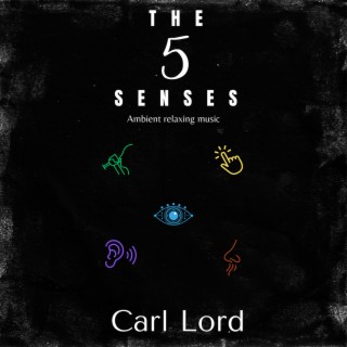 The 5 Senses