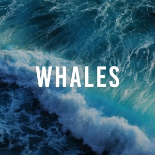 Whales