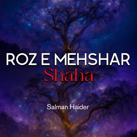 Roz e Mehshar Shaha | Boomplay Music