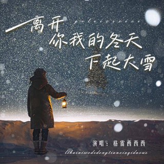 离开你我的冬天下起大雪 lyrics | Boomplay Music