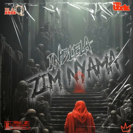 Indlela Zim'nyama ft. TP-BEATZ | Boomplay Music