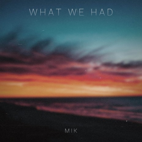 What We Had | Boomplay Music