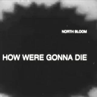 How We're Gonna Die lyrics | Boomplay Music