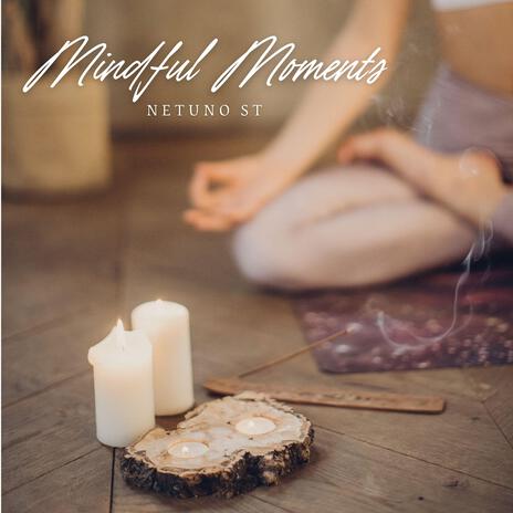 Mindful Moments ft. Netuno's Echoes | Boomplay Music