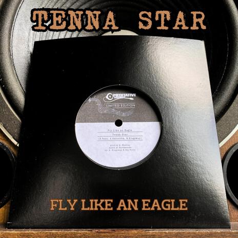 Flying Eagle Dub ft. Meditative Sounds & Jah Works | Boomplay Music