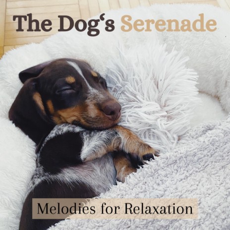 Lullaby Waves: Sleepy Sounds for Restful Woofers ft. Dog Music Therapy & Relaxmydog