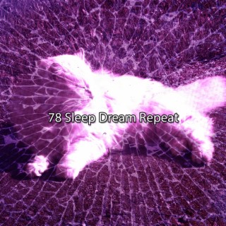 78 Répétition de rêve de sommeil